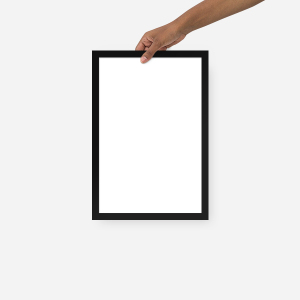 Premium Luster Photo Paper Framed Poster (in)