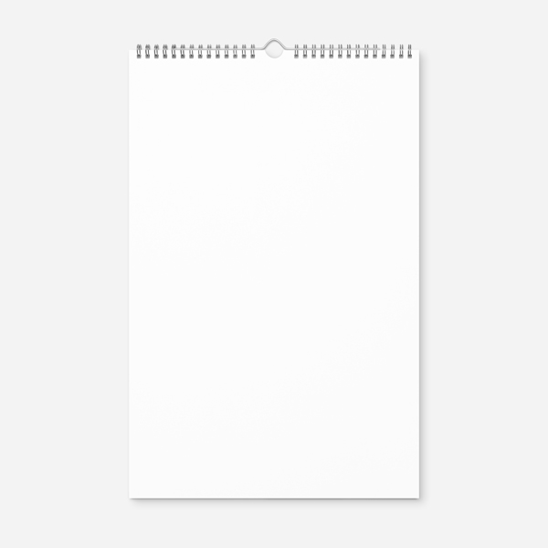 Wall Calendar (2025)