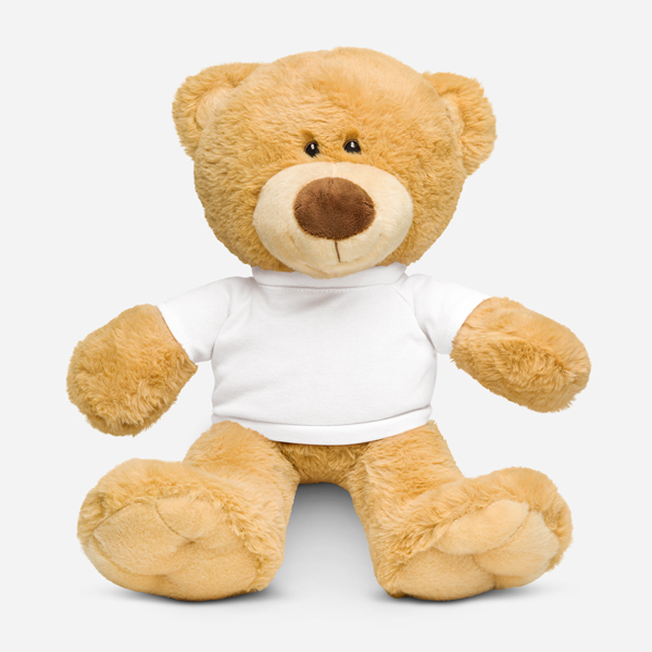 Teddy Bear with a T-shirt